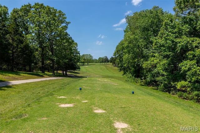 10201 Lake Hill Trl, Hillsboro, MO 63050