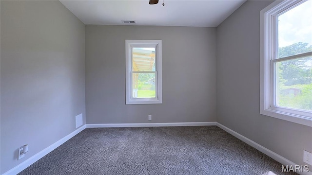 10240 Silverleaf Rd, Mineral Point, MO 63660 - photo 10