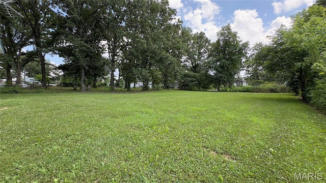 10240 Silverleaf Rd, Mineral Point, MO 63660 - photo 33