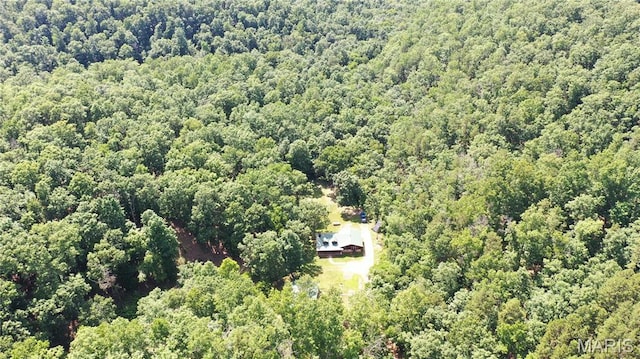 140 County Road 5700, Bunker, MO 63629 - photo 26