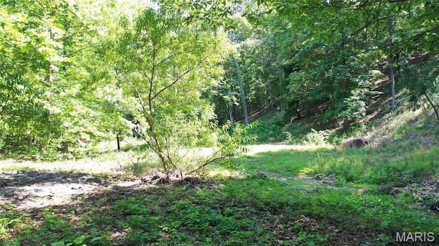 140 County Road 5700, Bunker, MO 63629 - photo 27
