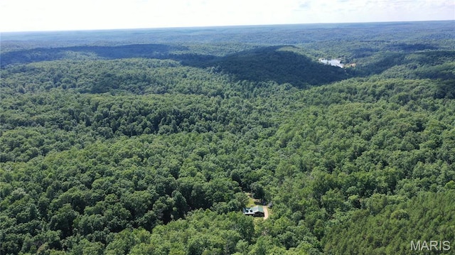 140 County Road 5700, Bunker, MO 63629 - photo 28