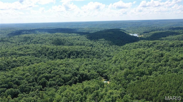 140 County Road 5700, Bunker, MO 63629 - photo 29