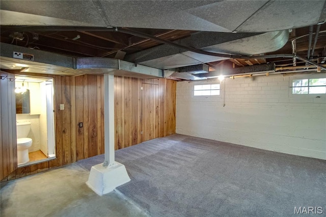 301 E 7th St, Alton, IL 62002 - basement featuring healthy amount of natural light