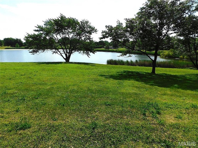 5ACM/L Lakeview Dr, Elsberry, MO 63343