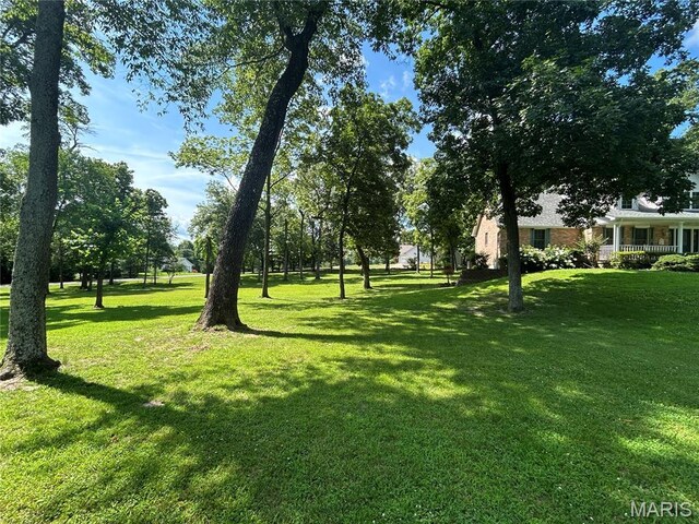 834 College Rd, Union, MO 63084 - photo 5