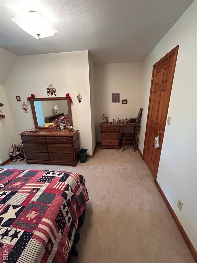 834 College Rd, Union, MO 63084 - photo 43