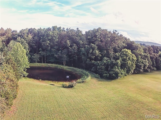 2718 Watson Rd, Mo, MO 63601 - photo 37