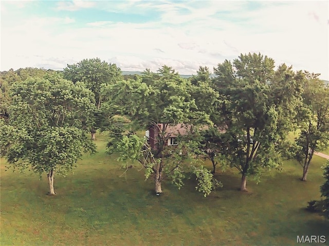 2718 Watson Rd, Mo, MO 63601 - photo 38