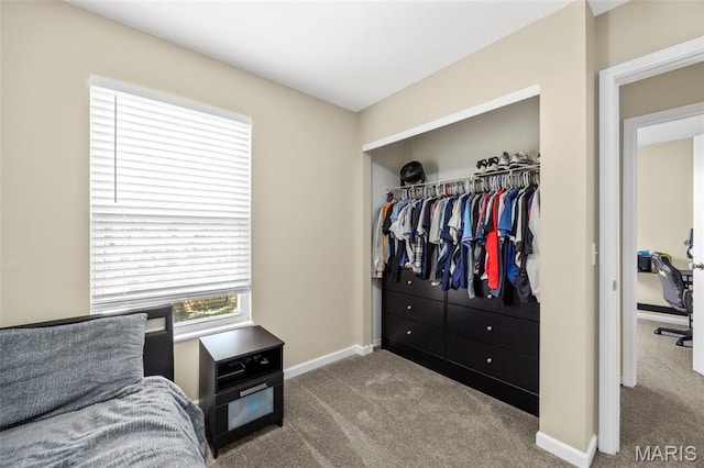 33 Kingspointe Dr, Saint Peters, MO 63376 - bedroom with carpet floors and a closet