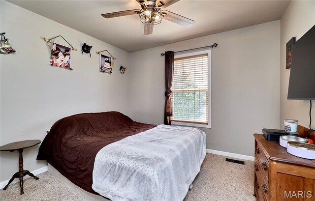 238 Split Rail Dr, Wentzville, MO 63385 - photo 17