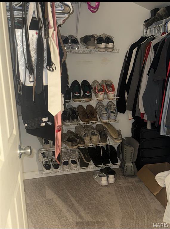 24 Lantern Ln, Lake St Louis, MO 63367 - spacious closet with carpet floors