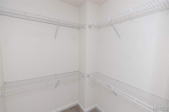 3309 White Pine Dr, Imperial, MO 63052 - photo 21