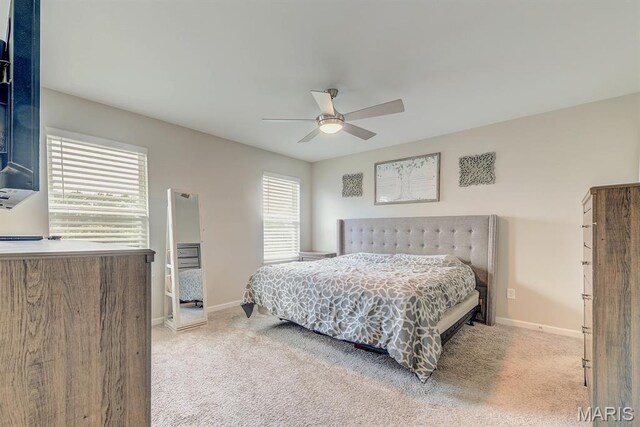 2755 Eldon Ave, Maryland Heights, MO 63043 - photo 23
