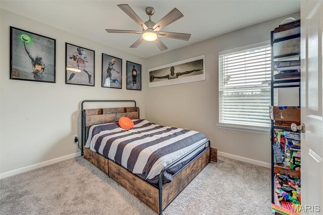 2755 Eldon Ave, Maryland Heights, MO 63043 - photo 29