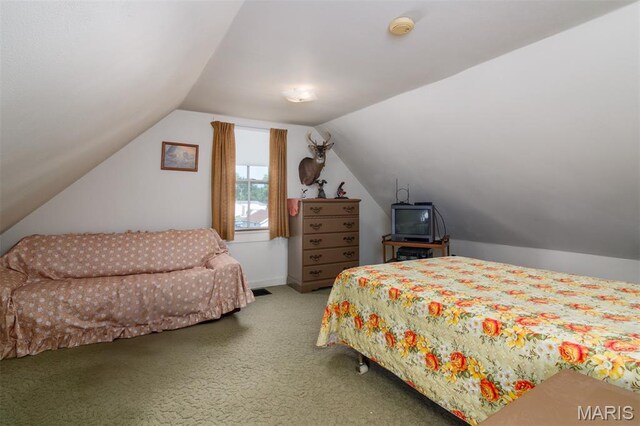 203 W Alton St, Marine, IL 62061 - photo 19