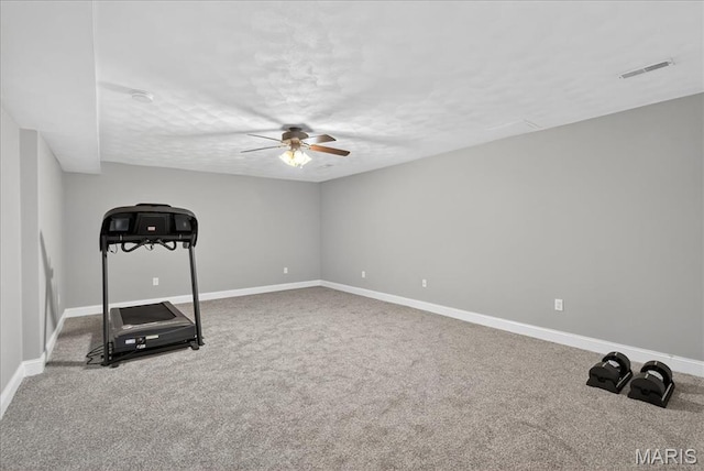 5025 Bristol Hill Dr, Ofallon, IL 62269 - photo 24