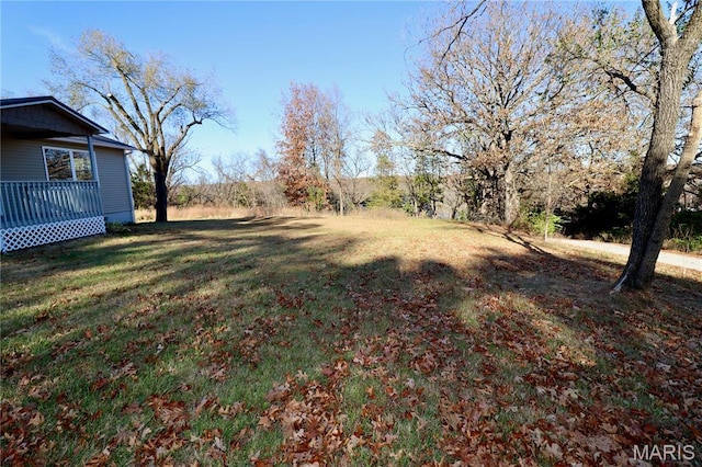 261 Buffalo Linn Creek Rd, Macks Creek, MO 65786 - view of green lawn
