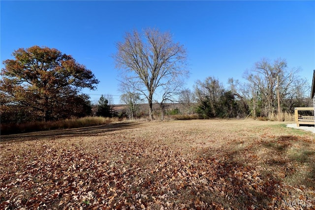 261 Buffalo Linn Creek Rd, Macks Creek, MO 65786 - view of yard