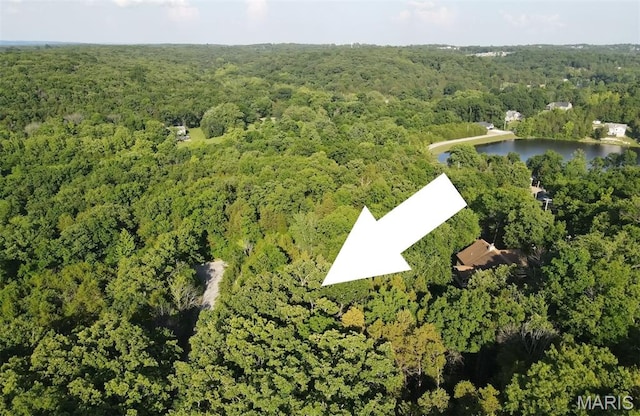 5204-5206 Tree Crest Dr, Hillsboro, MO 63050 - photo 3