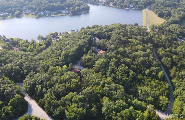 5204-5206 Tree Crest Dr, Hillsboro, MO 63050 - photo 5