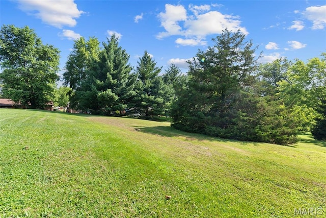 11439 Essex Ave, Maryland Heights, MO 63043 - photo 29