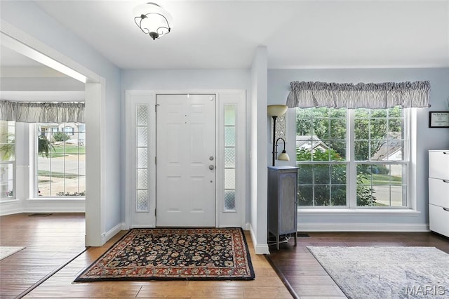 2039 Meramec Meadows Dr, Fenton, MO 63026 - entryway with plenty of natural light and wood finished floors