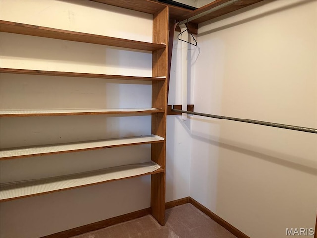 904 Keith St, Kennett, MO 63857 - view of spacious closet