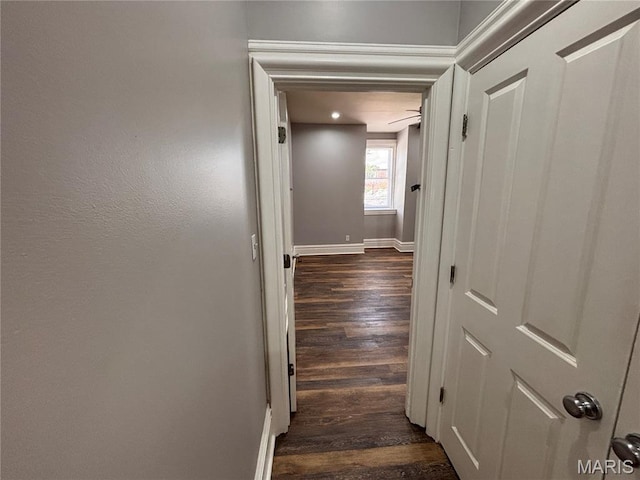 2012 Mallinckrodt St, Saint Louis, MO 63107 - corridor featuring dark wood-style flooring