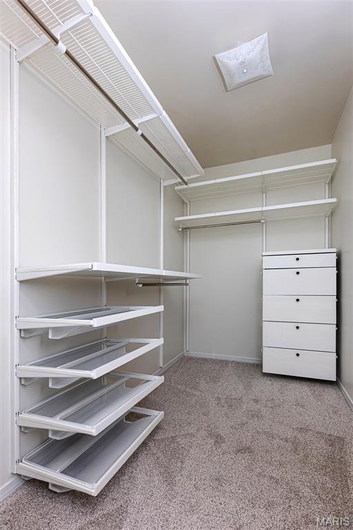 1316 Holgate Unit G6, Ballwin, MO 63021 - spacious closet featuring carpet flooring