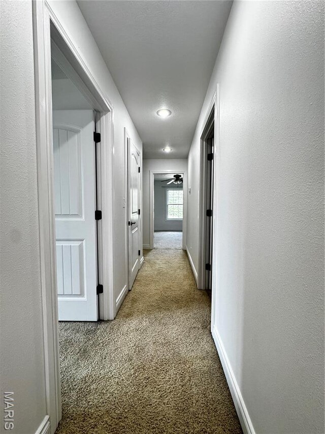100 Walnut Ct, Saint Robert, MO 65584 - photo 24