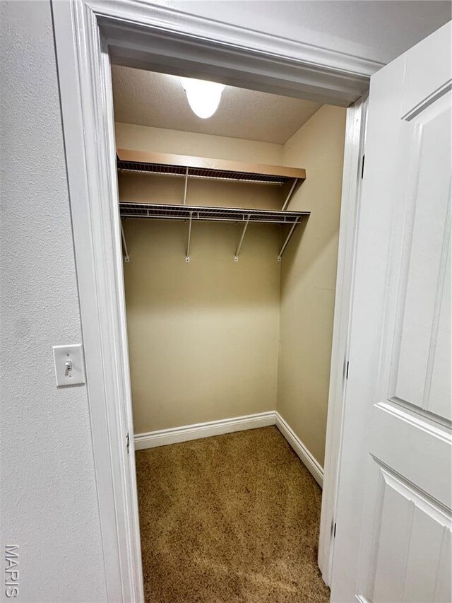 100 Walnut Ct, Saint Robert, MO 65584 - photo 27