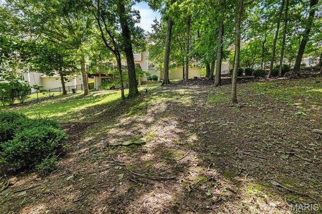 15495 Long Castle Forest Ct, Chesterfield, MO 63017 - view of yard