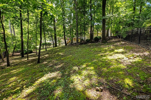 15495 Long Castle Forest Ct, Chesterfield, MO 63017 - view of yard