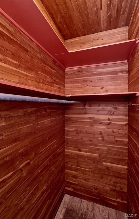 900 3rd St, Troy, MO 63379 - view of spacious closet