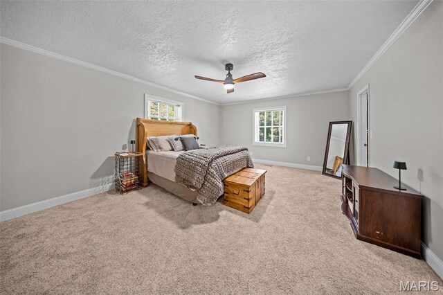 3451 Normandy Rd, Poplar Bluff, MO 63901 - photo 36