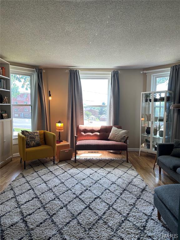 325 N Prairie St, Greenville, IL 62246 - living area featuring wood finished floors and a textured ceiling