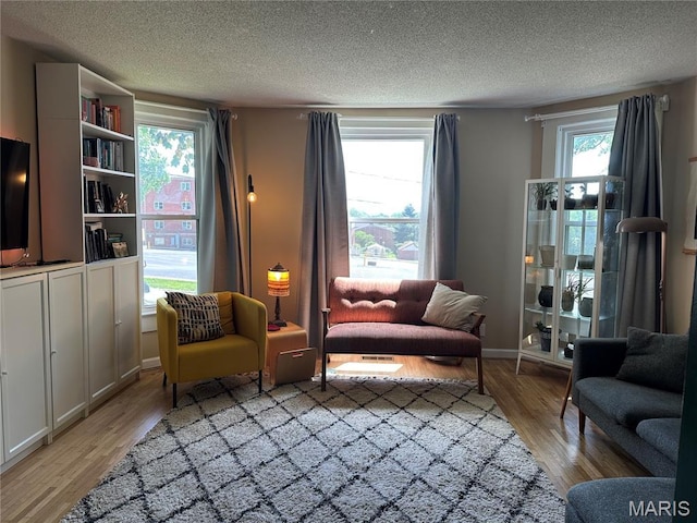 325 N Prairie St, Greenville, IL 62246 - living area with light wood-type flooring and a textured ceiling