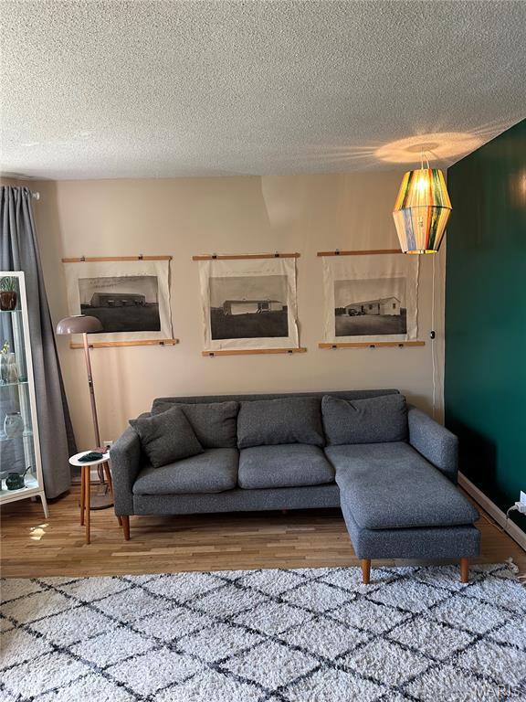 325 N Prairie St, Greenville, IL 62246 - living room with wood finished floors and a textured ceiling