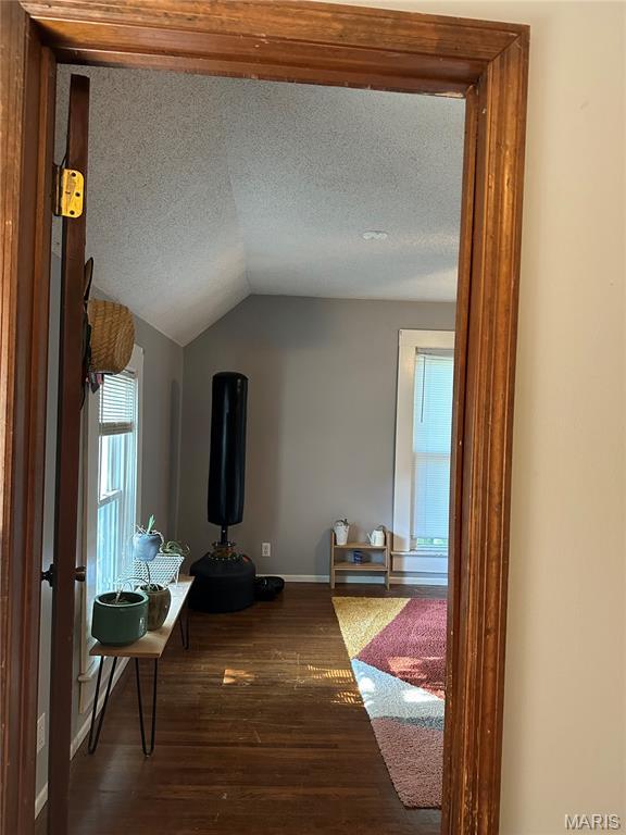 325 N Prairie St, Greenville, IL 62246 - hall featuring hardwood / wood-style flooring, a textured ceiling, and vaulted ceiling