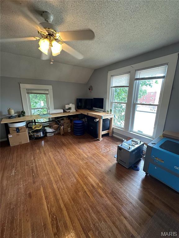 325 N Prairie St, Greenville, IL 62246 - office featuring wood finished floors, a textured ceiling, lofted ceiling, and a ceiling fan
