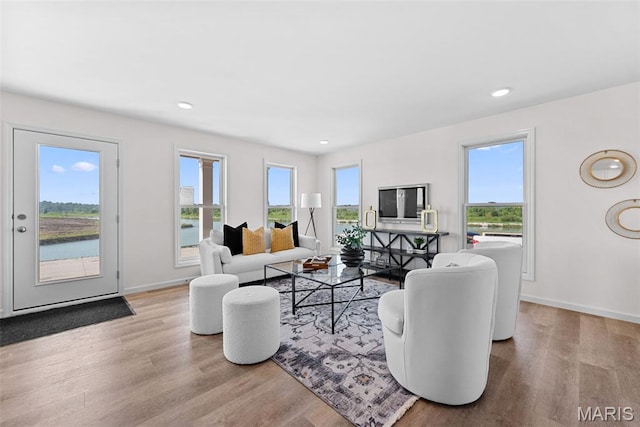 2921 Memphis St, Saint Charles, MO 63301 - living area featuring wood finished floors and recessed lighting