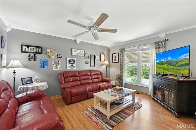 1918 Lone Pine Dr, Arnold, MO 63010 - living area featuring crown molding, light wood-type flooring, and ceiling fan