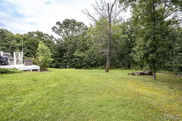 22832 Return Ln, Waynesville, MO 65583 - photo 52
