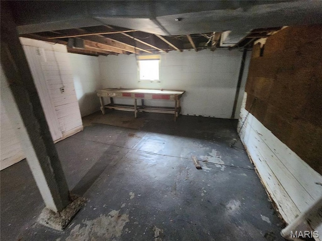 3309 Calvert Ave, Breckenridge Hills, MO 63114 - view of below grade area
