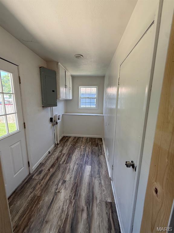804 W Bain St, Dexter, MO 63841 - laundry room with cabinet space, electric panel, and dark wood finished floors