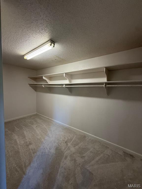 804 W Bain St, Dexter, MO 63841 - spacious closet featuring carpet flooring