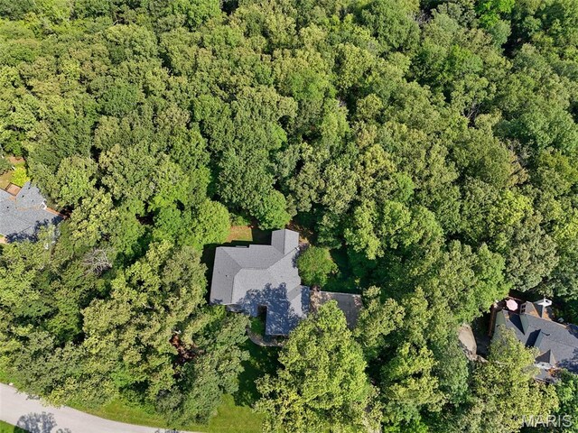 3940 Indian Ridge Ln, Defiance, MO 63341 - photo 67