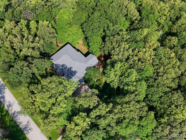 3940 Indian Ridge Ln, Defiance, MO 63341 - photo 7