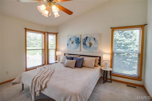 101 Serenity Dr, Alton, IL 62002 - photo 28